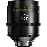 DZOFilm ARLES  FF/VV PRIME CINE 5-LENS Set (Arri PL Mount)