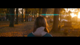 Revar Cine 4x5.65 Scarf Dust Diffusion